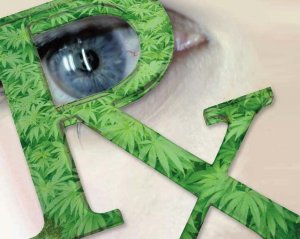 Cannabis for Glaucoma?