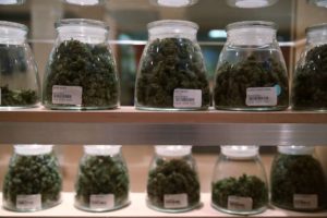 Connecticut Hopes To Add More Medical Marijuana Dispensaries