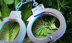 Sixty People Jailed for Possession of Under an Ounce of Pot