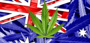 Will Australia Become The Biggest World Cannabis Exporter?