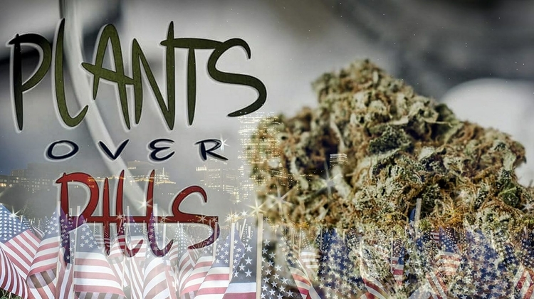 Veterans - Plants over Pills