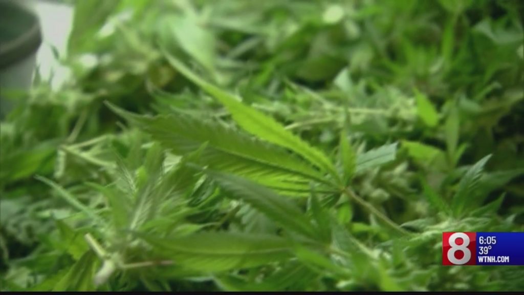 Connecticut adds 31st condition to medical marijuana program