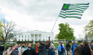 Could There Soon Be Legal Recreational Weed Sales in Washington, DC?
