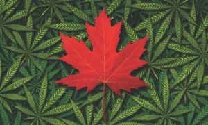 Experts Say Cannabis Industry Helped Lower Canada’s Unemployment Rate