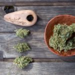 NYC Mayor Intends to Prevent Cannabis Corporatization if Legalization Succeeds