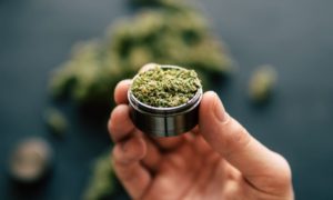 Connecticut Cannabis Legalization Bill Advances