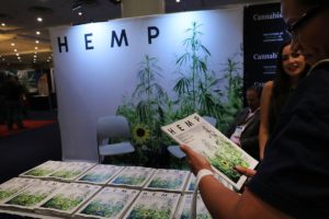 Cannabis could be a cash crop in New York if bill regulating hemp, CBD, other extracts becomes law