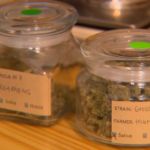 Race is on for recreational marijuana licenses