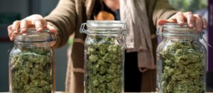 Legal Marijuana Sales Begin In Michigan Sunday