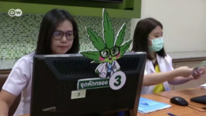 Thailand opens first clinics offering free cannabis