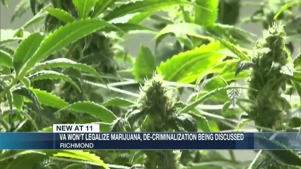 Virginia will not legalize marijuana, talks of decriminalization underway
