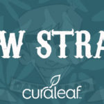 New Strain from Curaleaf