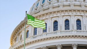Federal: Upcoming vote in the House on marijuana policy