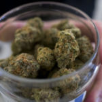 CCC to vote on recreational marijuana delivery plans at end of October