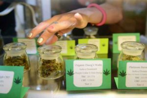 Danbury law would allow 4 types of marijuana business including recreational pot, but not on Main Street