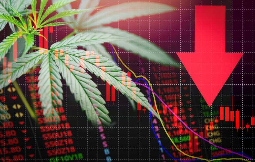 3 Cannabis Stocks That Have Plunged More Than 55% in 2022