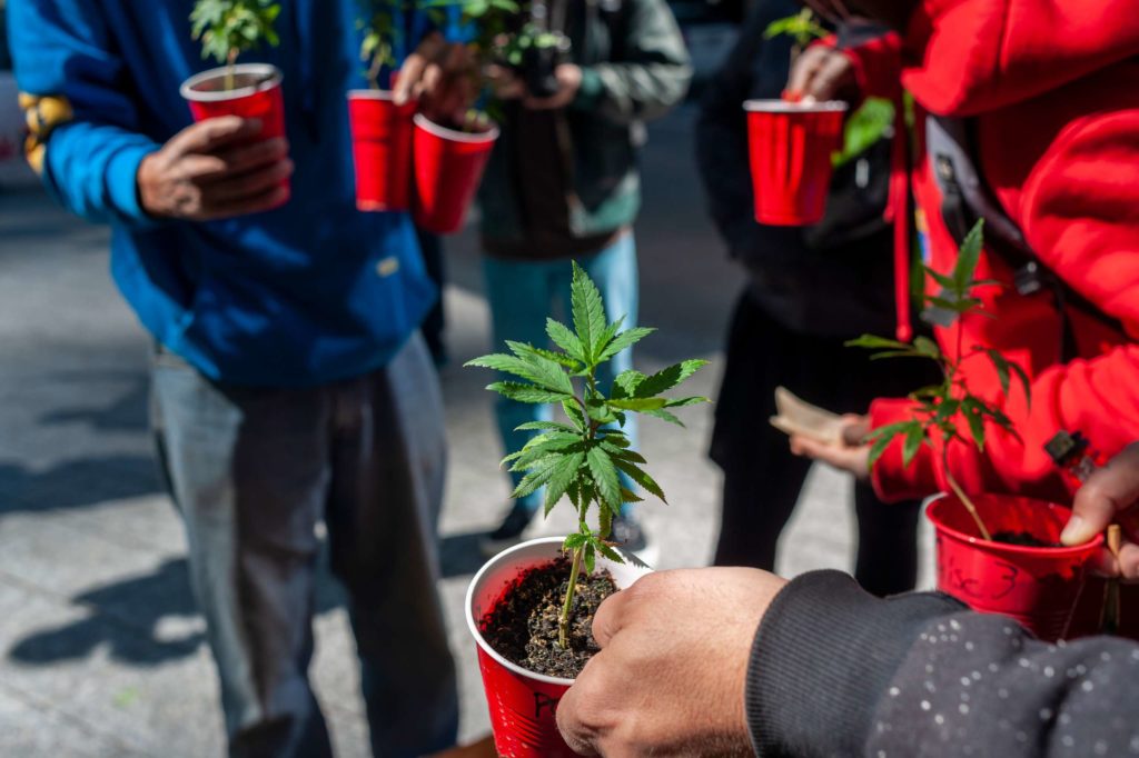 New York said it cracked down on marijuana ‘gifting’ — Or did it?