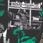 5 reasons why Jack Herer is the godfather of modern cannabis