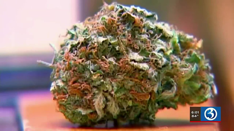 Meeting held to discuss proposed cannabis stores in Hartford