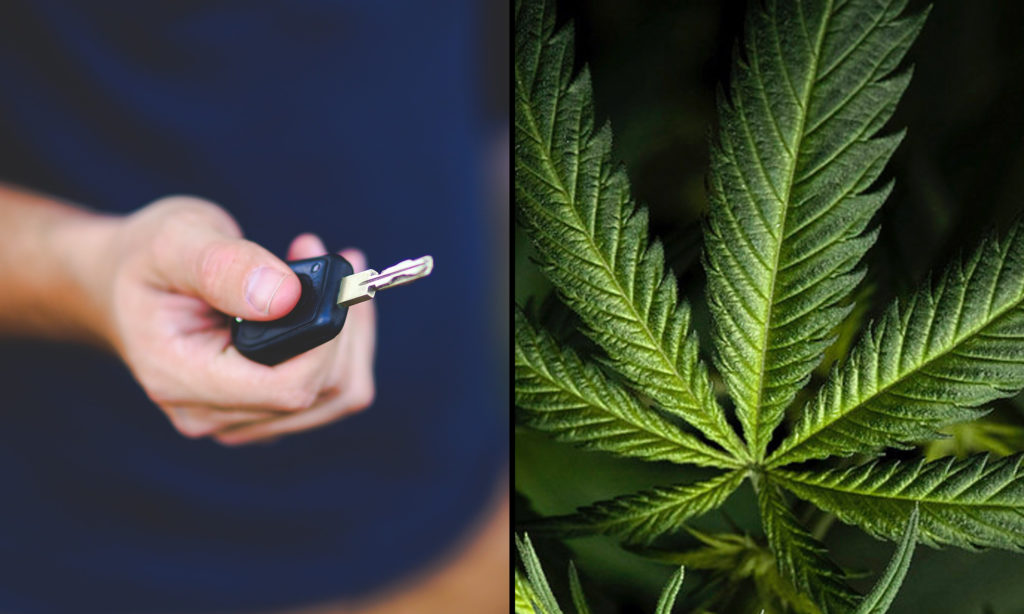 Medical Marijuana Legalization Linked To Reduced Drunk Driving And Safer Roads, Study On Auto Insurance Data Suggests