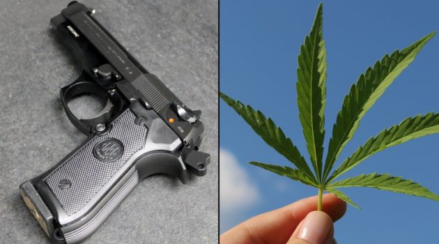 Justice Department Response In Medical Marijuana Patients’ Gun Rights Lawsuit Delayed Due To SCOTUS Ruling