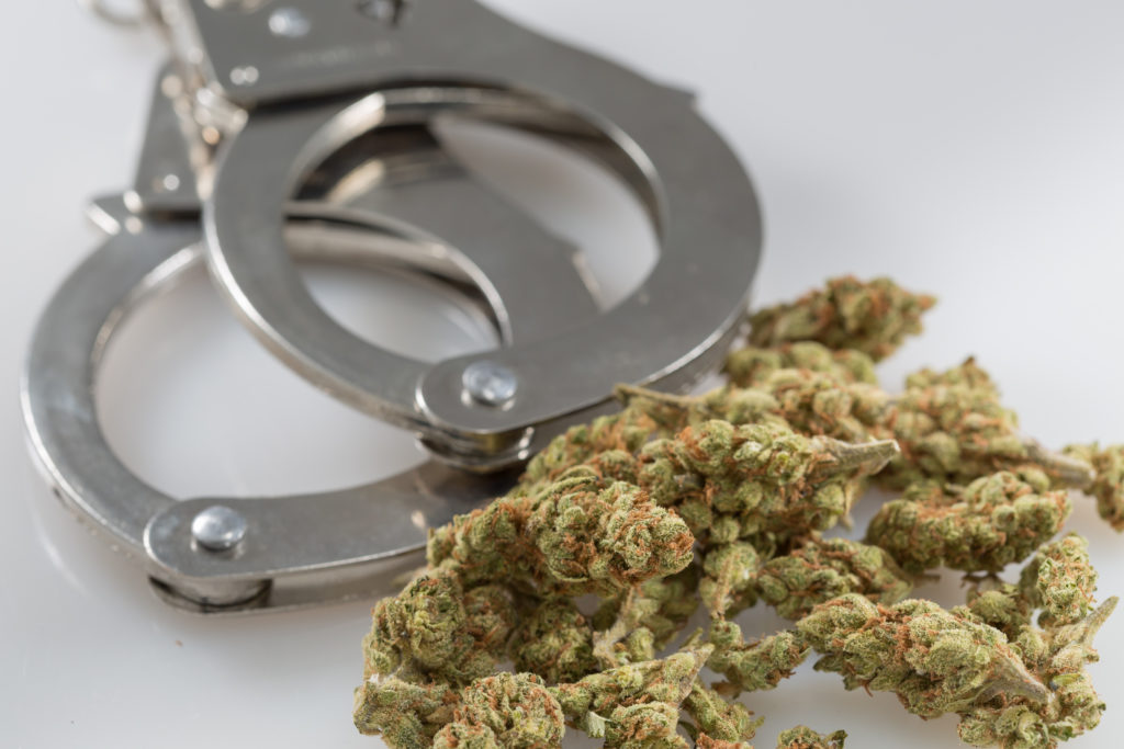FBI Marijuana Arrest Data May Be Critically Flawed, And DOJ Is Being Asked To Investigate