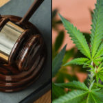 U.S. Supreme Court Denies Medical Marijuana Workers’ Compensation Cases