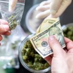 These Doctors Want Marijuana Illegal Again, And This State Broke A Cannabis Tax Revenue Record