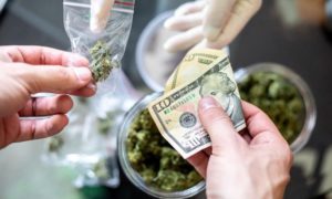 These Doctors Want Marijuana Illegal Again, And This State Broke A Cannabis Tax Revenue Record