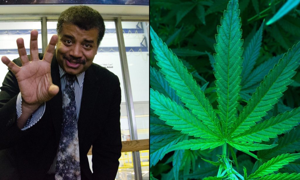 Neil deGrasse Tyson Wonders What Other Plants Can Get You High That People Just Haven’t Tried Smoking Yet