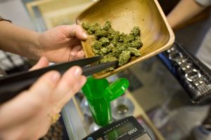 Colorado’s Cannabis Industry Contracts on Out-of-State Competition