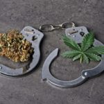 Does marijuana legalization bring crime?The data may surprise you