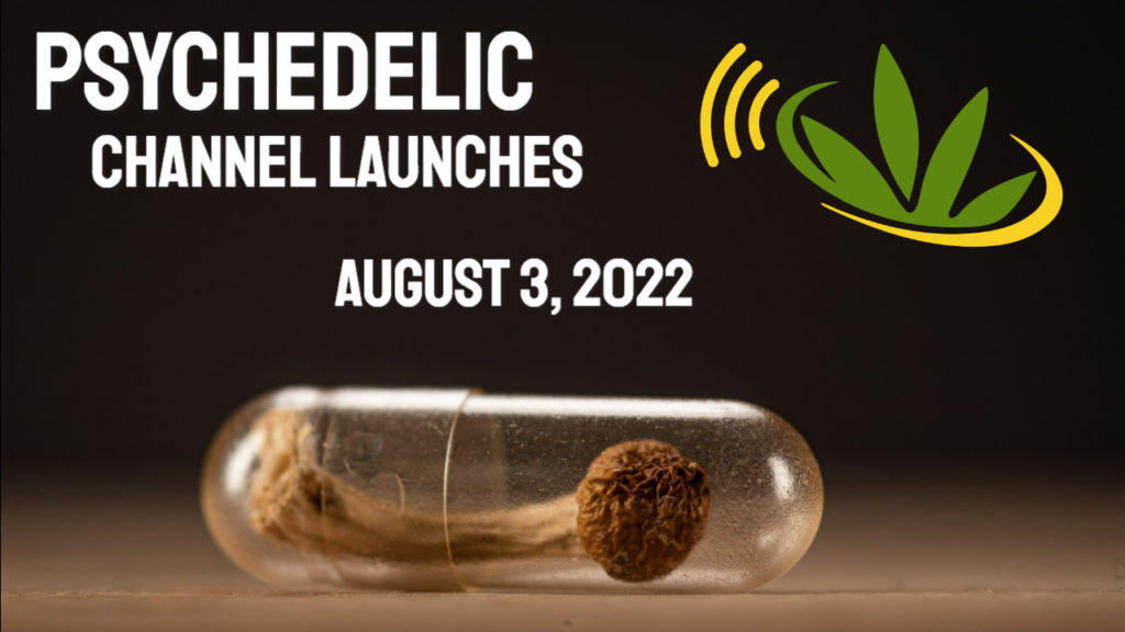 CannabisRadio.com Launches Psychedelic Channel to Bring Awareness To Psychedelic Medicines