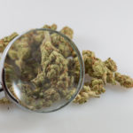 U.S. Border Officials Want To Buy ‘Cannabis Analyzers’ To Detect Cannabinoid Profiles And Distinguish Marijuana From Hemp