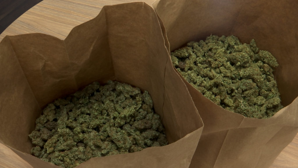 Black market marijuana still popular despite legalization