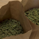 Black market marijuana still popular despite legalization