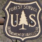 U.S. Forest Service Employees Still Banned From Consuming Cannabis