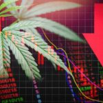 3 Cannabis Stocks Going up in Flames to Avoid