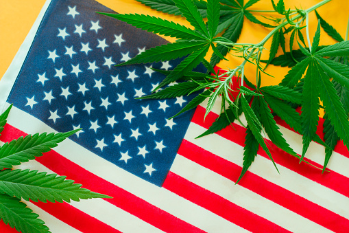 Cannabis legalization wiped off ~$10B market cap in pharma sector – study