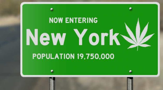 New York receives more than 900 applications to operate adult-use marijuana dispensaries