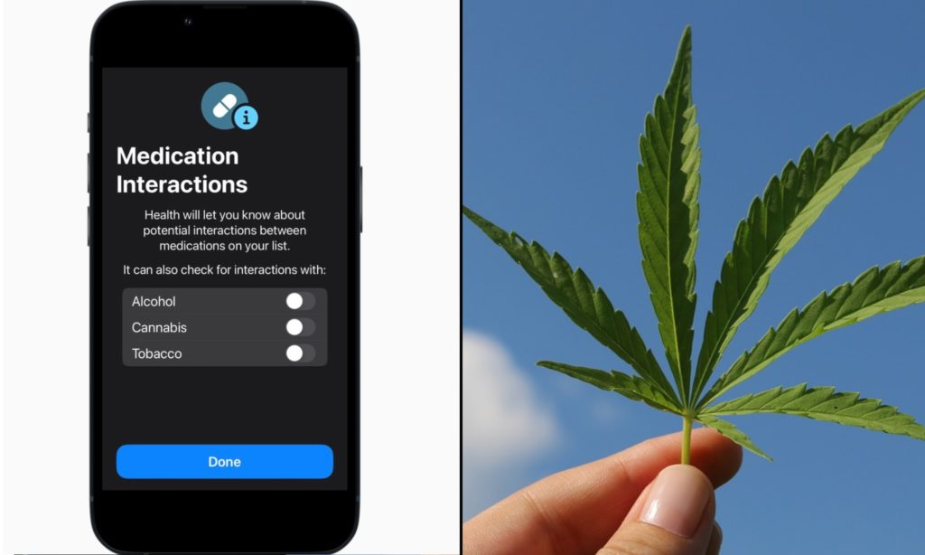 Apple Lets Users Search For Marijuana And Pharmaceutical Interactions In Latest iPhone Health Update