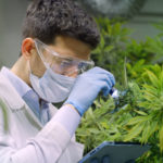 Cannabis Stock Rising With Neutral Sentiment Tuesday: Should You Add Trulieve Cannabis Corp (TCNNF) To Your Portfolio?
