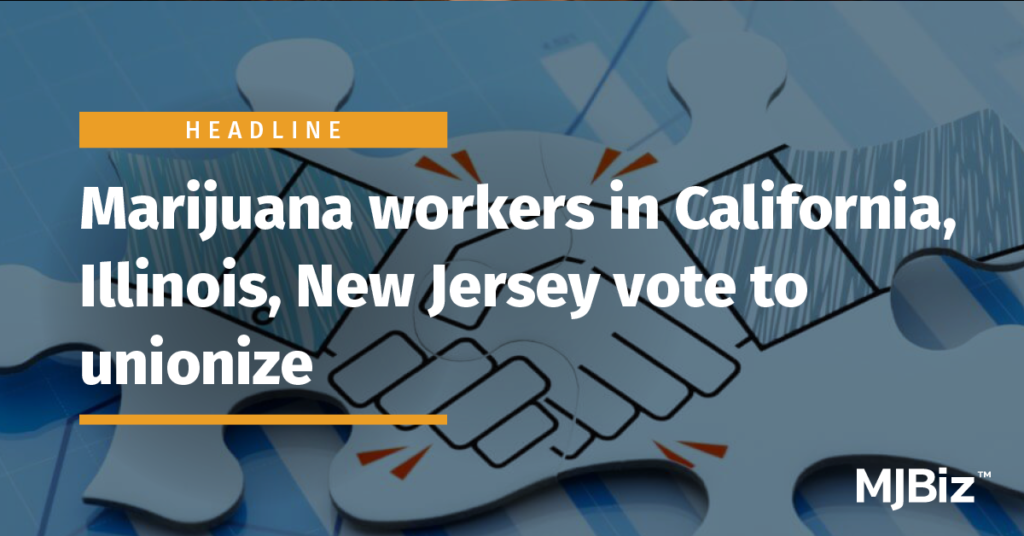 Marijuana workers in California, Illinois, New Jersey vote to unionize