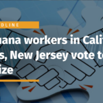 Marijuana workers in California, Illinois, New Jersey vote to unionize