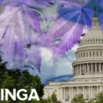 House Lawmakers Announce Witnesses For Hearings To Discuss Marijuana Reform