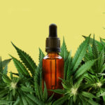 Study backs medicinal cannabis use