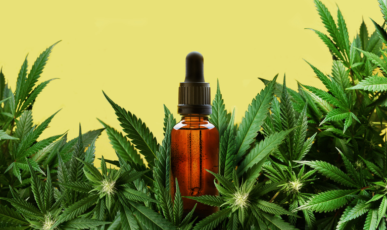 Study backs medicinal cannabis use