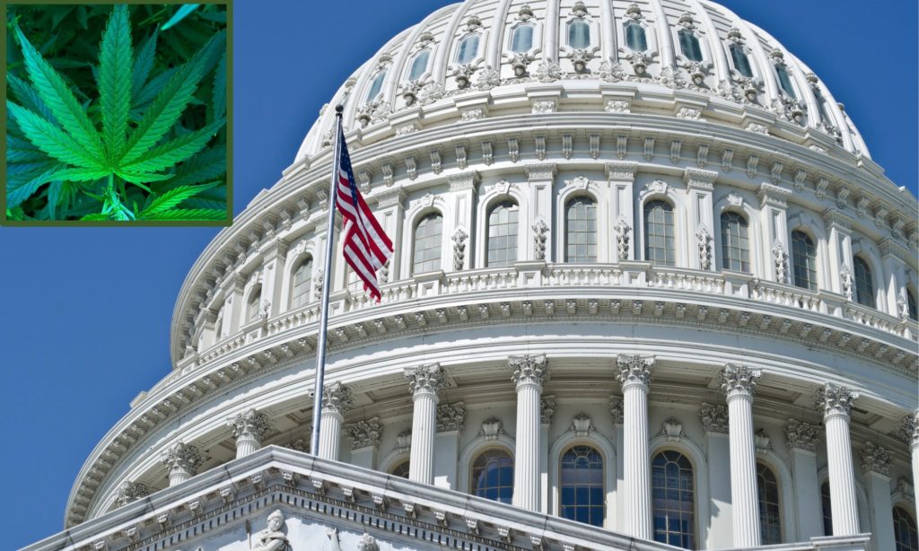 Where The New Republican And Democratic Congressional Leaders Stand On Marijuana