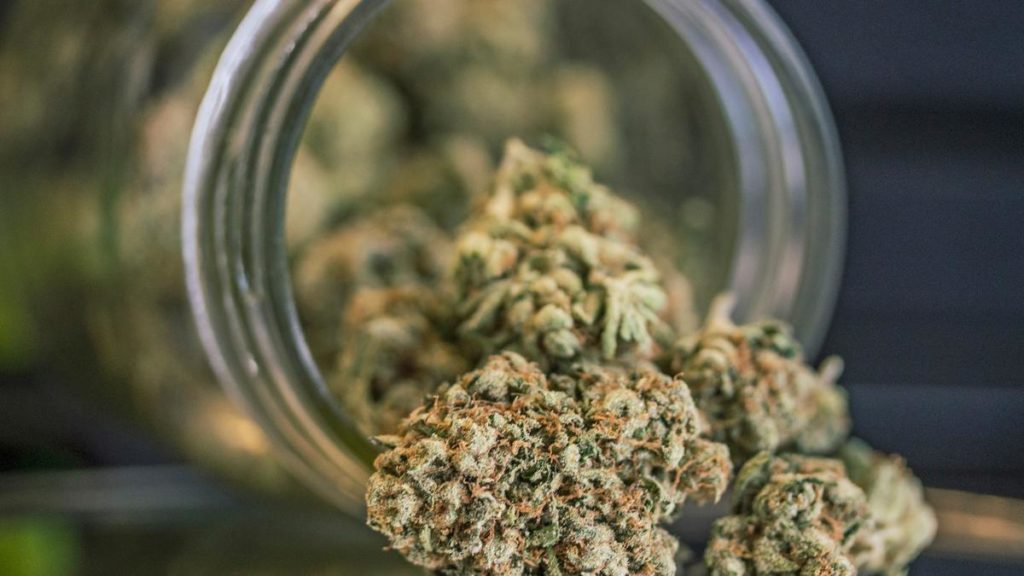 Oregon company asks court to strike down state ban on cannabis exports