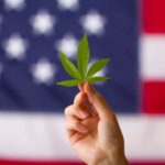 Only one in ten Americans oppose marijuana legalization – survey